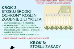 Zabiegi środkami ochrony roślin
