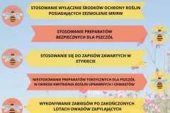 Chrońmy pszczoły