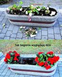 Beznazwy-2