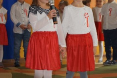 DSC06554