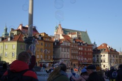 DSC09065