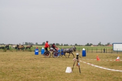 DSC00250
