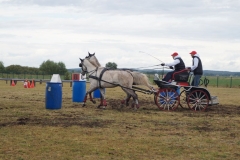 DSC00317