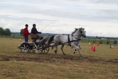 DSC00330