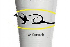 Jakub_Antas_SPKuny