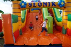 DSC00241