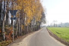 DSC04180