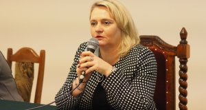 P1311112a