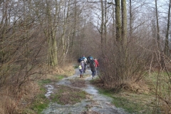 DSC05308