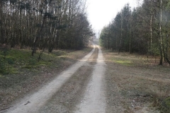 DSC05312