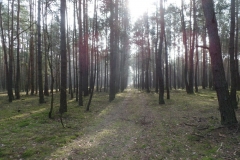 SAMSUNG CAMERA PICTURES