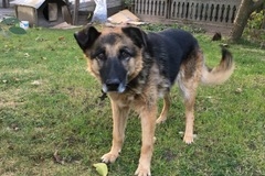IMG_7226peggy