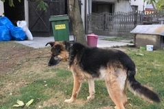 IMG_7229peggy