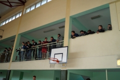 DSC07951