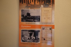 P5280399