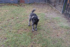 IMG_20191227_133705