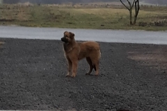 20181213_091712