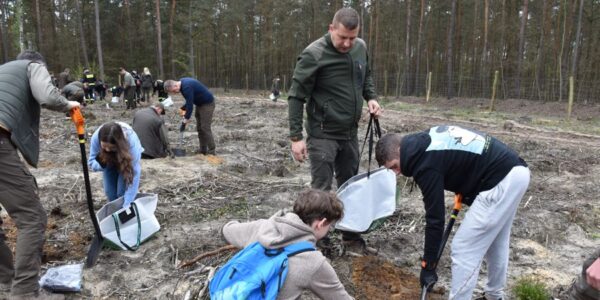 Las Pamięci Jana Pawła II już rośnie w gminie Władysławów